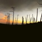 Why-Not-On-Nature-Caminhada-ao-Lusco-Fusco-Serra-da-Freita e